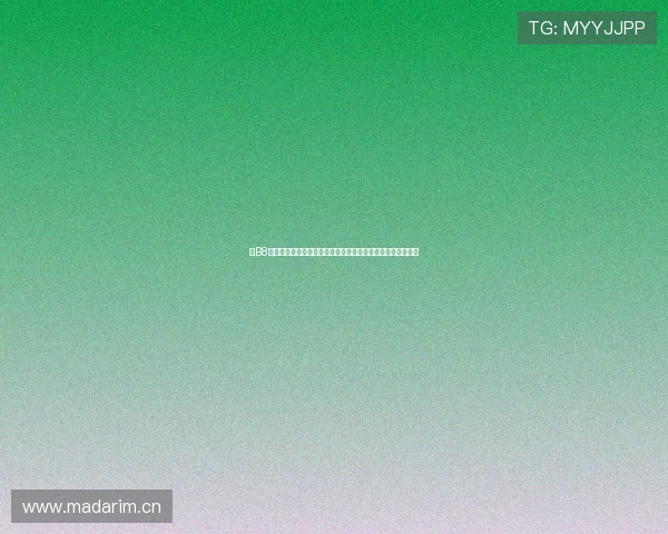 以B8路线为核心探索城市发展新机遇推动区域经济协同发展新格局